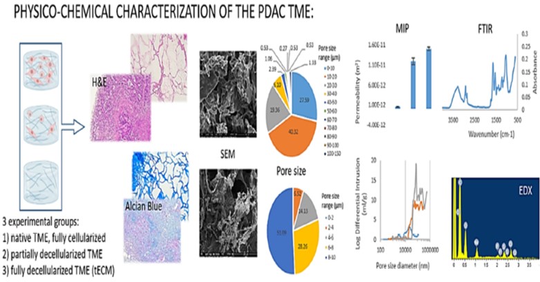 New Paper published: Physico-chemical characterization of the tumour microenvironment of pancreatic ductal adenocarcinoma