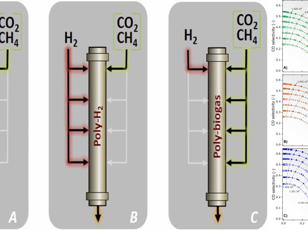 New Paper published: Biogas upgrading through CO2 methanation in a multiple-inlet fixed bed reactor: Simulated parametric analysis