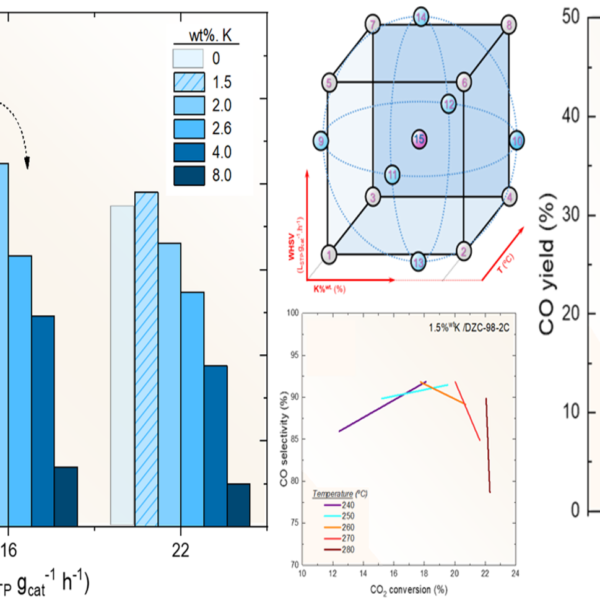 New Paper published: Sorption Enhanced reverse Water Gas Shift (SErWGS): Optimal potassium-driven methanol suppression and zeolite type selection (LTA and FAU) under high-pressure conditions